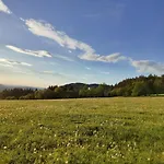Апартаменты Wehner *