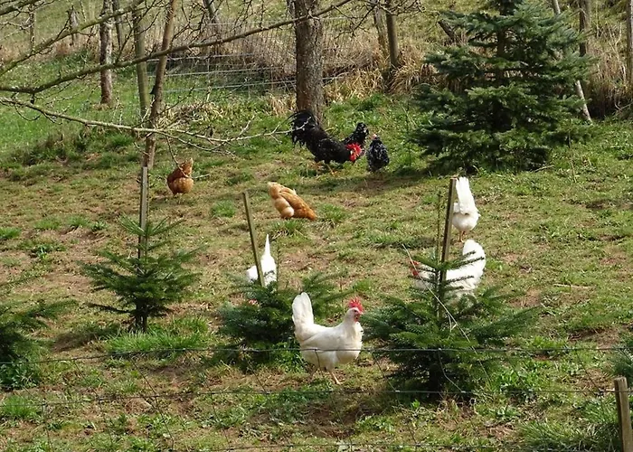 Apartamento Wehner Seiferts