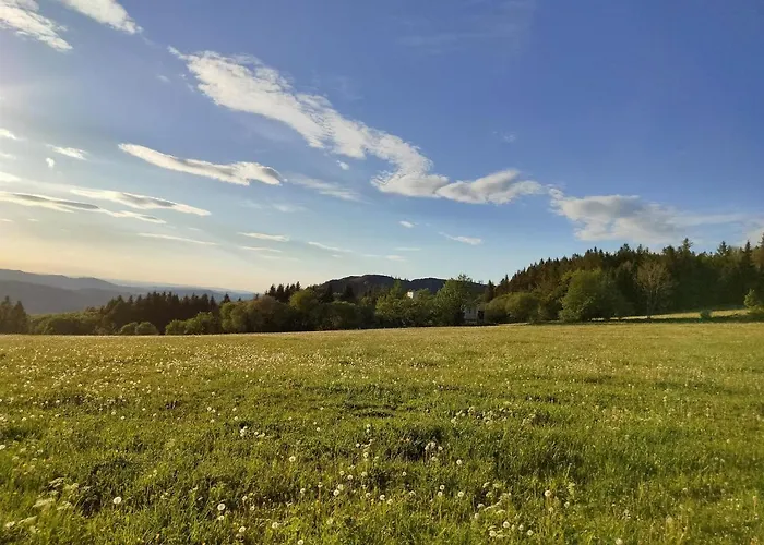 Apartamento Wehner *